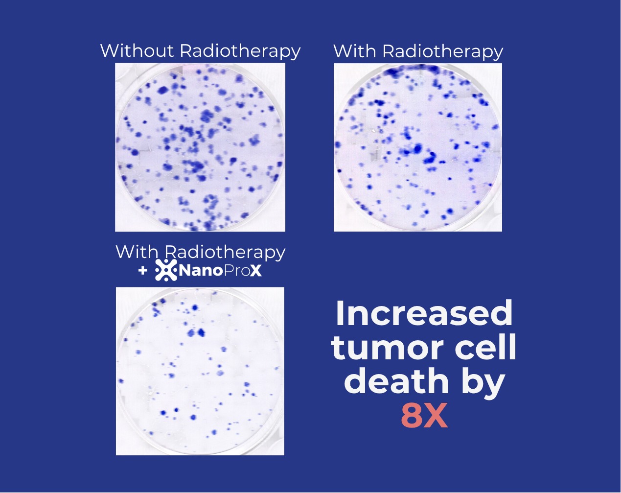 Clonogenic assay results comparing radiotherapy with and without NanoProX